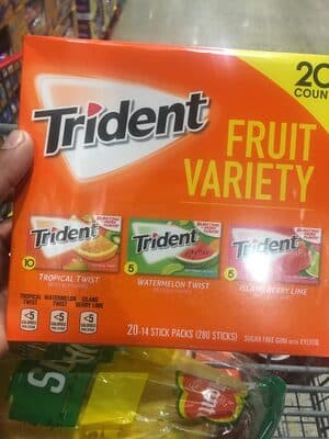 TRIDENT GUM ASSORTED FRUIT SUGAR FREE1X20 PK