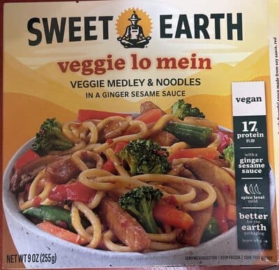 VEGGIE LO MEIN CHINESE NOODLES & SEITAN W/ GREEN BEANS, BROCCOLI, PEPPERS & MUSHROOMS UNDER A SESAME GINGER SAUCE, VEGGIE LO MEIN