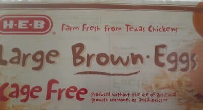 GRADE AA CAGE FREE LARGE BROWN - EGGS