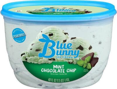MINT CHOCOLATE CHIP ICE CREAM, MINT CHOCOLATE CHIP