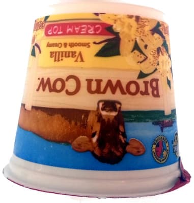 WHOLE MILK YOGURT