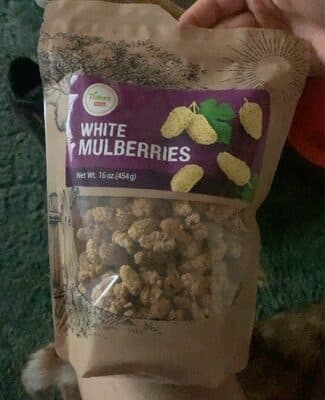 ENERGY BAR