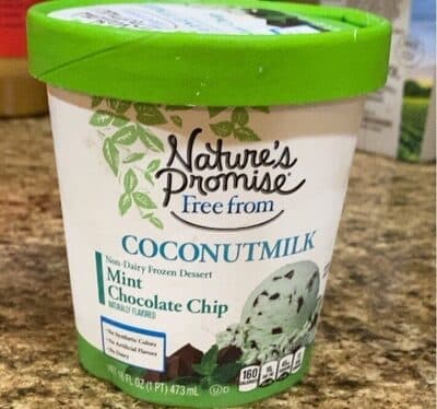 MINT CHOCOLATE CHIP COCONUTMILK NON-DAIRY FROZEN DESSERT, MINT CHOCOLATE CHIP