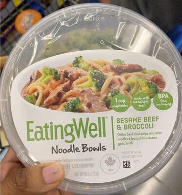 SESAME BEEF & BROCCOLI GRILLED BEEF STEAK STRIPS WITH UDON NOODLES & BROCCOLI IN A SESAME GARLIC BROTH NOODLE BOWLS, SESAME BEEF & BROCCOLI