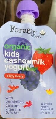 BERRY BERRY ORGANIC KIDS CASHEW MILK YOGURT, BERRY BERRY